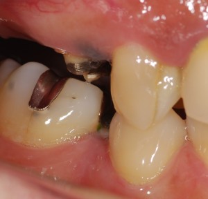 DSC_0288 - コピー